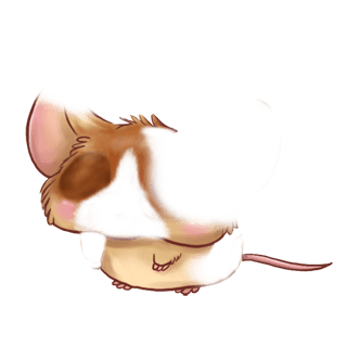 Adoptiere einen Maus Angora-Aprikose