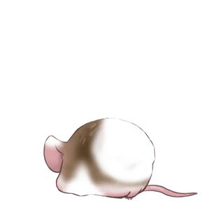 Adoptiere einen Maus Cromimi