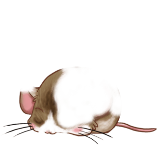 Adoptiere einen Maus Borealen