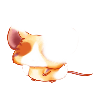 Adoptiere einen Maus Fuchsie