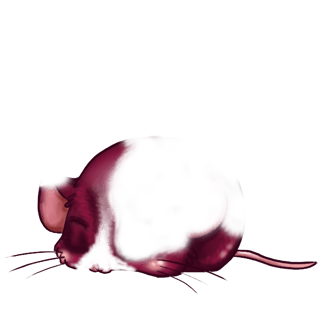 Adoptiere einen Maus Chinesischer Drache