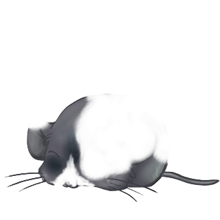 Adoptiere einen Maus Widder grau