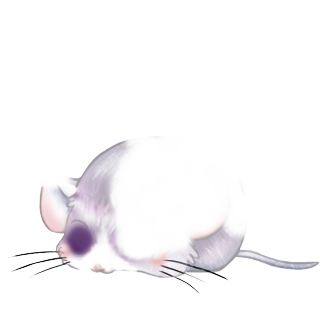 Adoptiere einen Maus Beige Brown