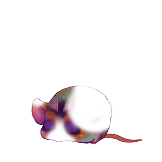 Adoptiere einen Maus Angora-Aprikose