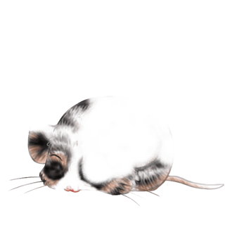 Adoptiere einen Maus Borealen