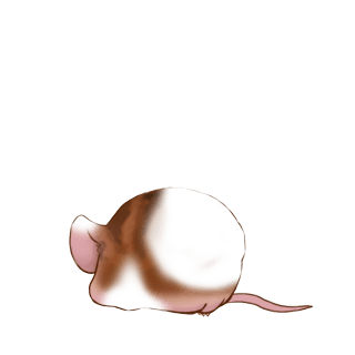 Adoptiere einen Maus Goldener Glitzer