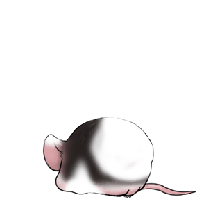 Adoptiere einen Maus Liebe