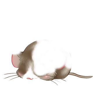 Adoptiere einen Maus Fräulein