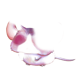 Adoptiere einen Maus Rosenquarz