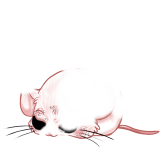 Adoptiere einen Maus Angora
